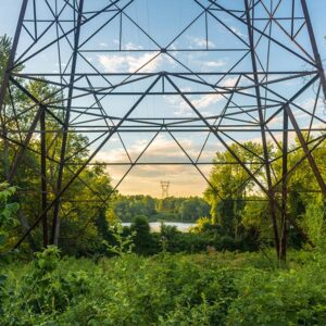 Transmission, Distribution & Generation (TD&G) - Drop Zone/Vegetation