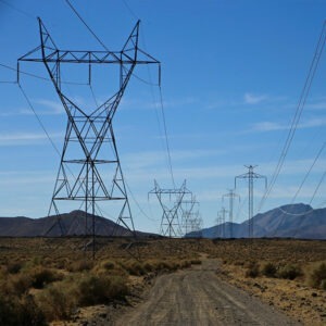 Transmission, Distribution & Generation (TD&G)-Environmental Program